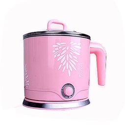 艾納優a165電煮鍋 多用途與安全的時尚廚房好幫手